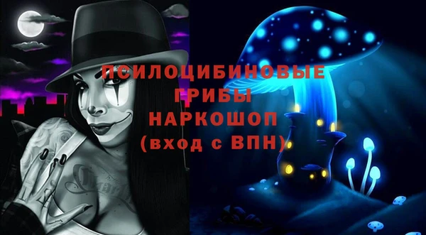 круглые Абаза