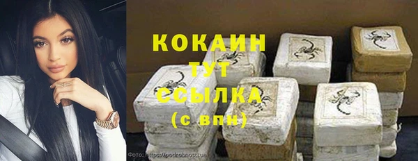 метадон Алексин