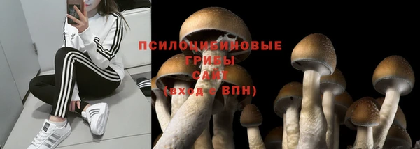 амф Алзамай