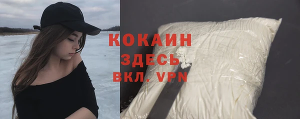 метадон Алексин