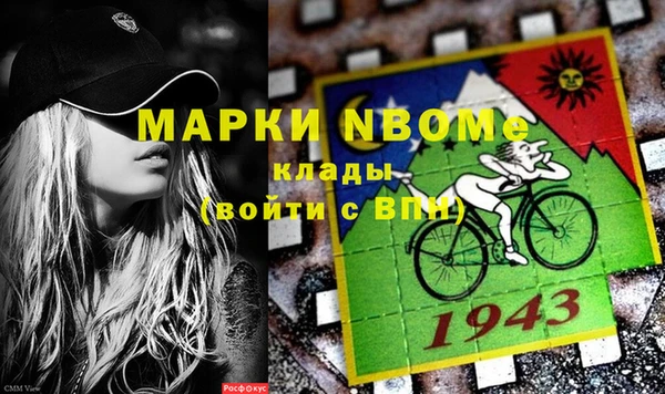 метадон Алексин