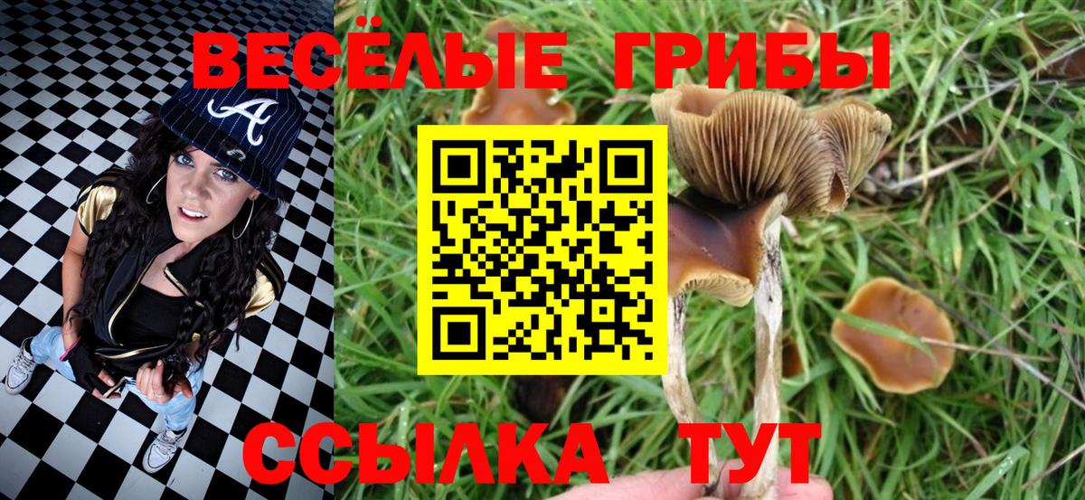 Псилоцибиновые грибы ЛСД Урюпинск